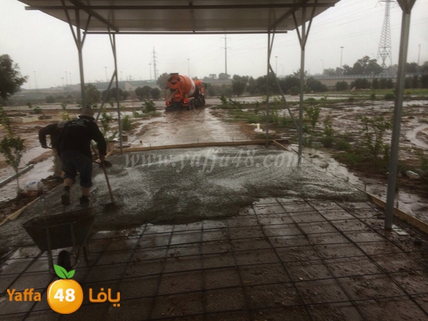 hai2a taso asmant (6).JPG